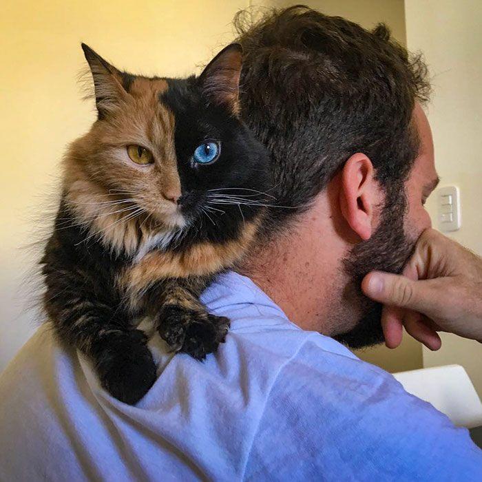 <p>Arjantin'de yaşayan Venüs isimli bu kedi farklı kürk rengi ile görenleri şaşkına çeviriyor. Sahibi ile sempatik pozlar veren Venüs şimdiden sosyal medya fenomeni oldu bile </p>