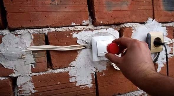 <p>Pet şişeler bambaşka amaçlarla kullanılabiliyor. Açıkta kalan ve hava şartlarına maruz kalan bir tuş varsa yağmurdan zarar görmemesi için bakın ne yapacaksınız?</p>