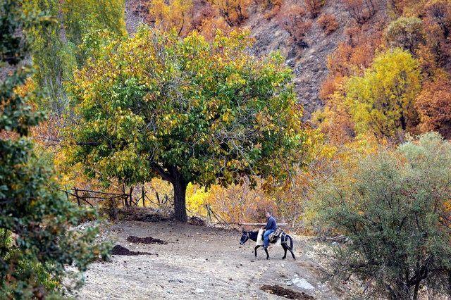 <p>Üstad Bediüzzaman Said-i Nursi ve Gavsi Hizani gibi büyük zatların yetiştiği bu topraklar ne yazık ki son 10 yıldır terörle anılıyordu. Buraya atandığım günden beri tek amacımız Hizan'ın gerçek yüzünü ortaya çıkarmaktı. 29 Ekim bizim için bir başlangıç oldu.</p>