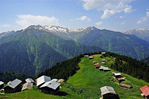 <p><strong>Pokut Yaylası, Çamlıhemşin, Rize</strong></p>

<p>Pokut, Çamlıhemşin in üstünde, 2100 metre yükseklikte Hemşin yaylasıdır. Palovit ana vadisine bakıyor.. Geniş çam ormanlarıyla kuşatılmış Pokut, doğa yürüyüşçülerin ve fotoğraf severlerin vazgeçemedikleri bir yerdir. Pokut'un evleri yüz-yüzelli yıllık geçmişe sahip.</p>
