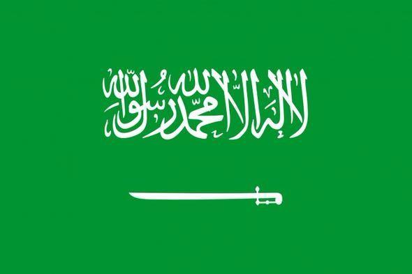 <p><strong>17- Suudi Arabistan </strong></p>

<p>Suudi Arabistan'dan Türkiye'ye 2010-2016 yılları arasında 1 milyar 949 milyon dolarlık yatırım geldi. 2017 Ocak-Şubat doğrudan yatırım tutarı ise sıfır.</p>
