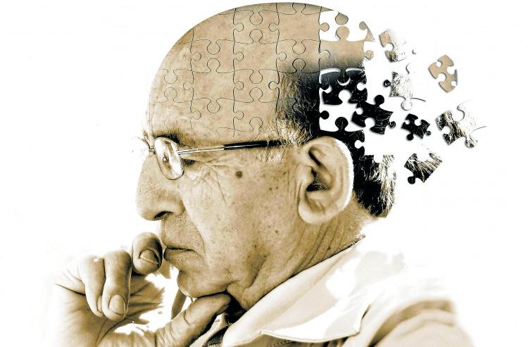 <p>Alzheimer hastalığını engeller. </p>
