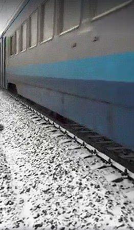 <p>Ukrayna'da meydana gelen, hadisede dişi köpek Lucy tren raylarında sıkıştı.  </p>

<p> </p>
