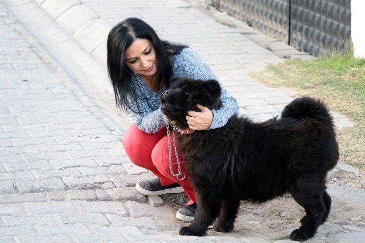 <p>Küçük, tedavi süresinin sonunda tüyleri yeniden çıkan ve görüntüsüyle ilgi toplayan köpeği her gün banyoda elleriyle yıkıyor, iş sonrası yürüyüşe çıkıp birlikte vakit geçiriyor.</p>

<p> </p>
