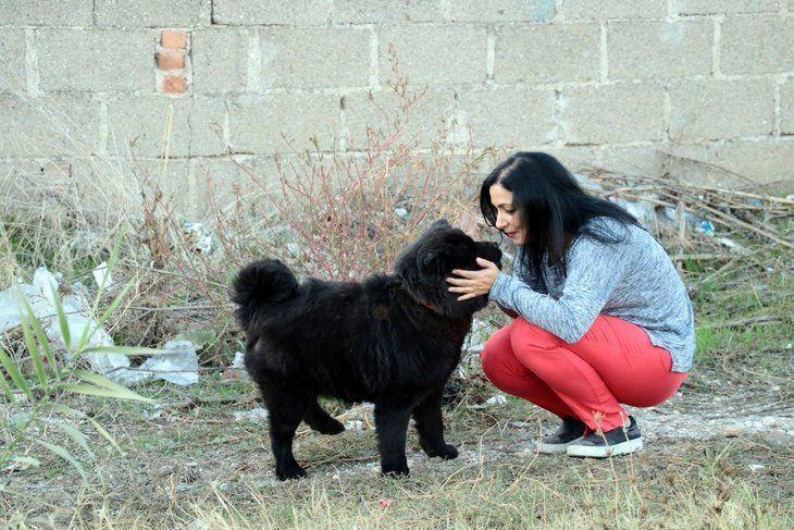 <p>Beden eğitimi öğretmenliği bölümü mezunu Küçük, hayvan bakımı konusunda kendi çabasıyla edindiği bilgilerle köpeği 2 ay boyunca tedavi etti.</p>

<p> </p>
