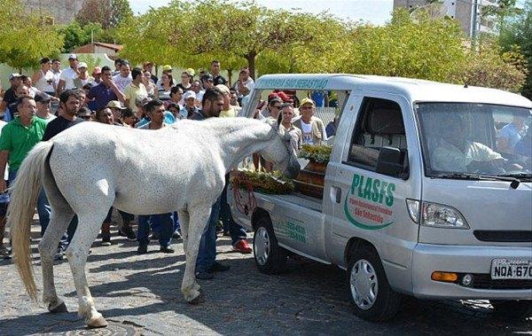 <p>Cenaze törenine getirilen Cowboy'un sahibine vedası sosyal medyayı salladı.</p>
<p> </p>