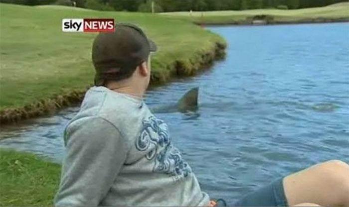 <p>Köpekbalıkları golf sahanızı ziyaret edebilir...</p>

<p> </p>
