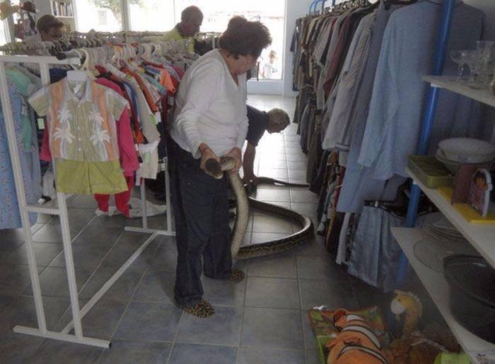 <p>Mağazada beklenmedik bir ziyaretçi belirebilir.</p>

<p> </p>
