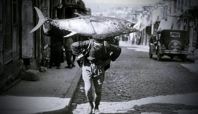 <p>Boğaz'da yakalanan bir orkinos ve onu taşıyan balıkçı (1929)</p>

<p> </p>
