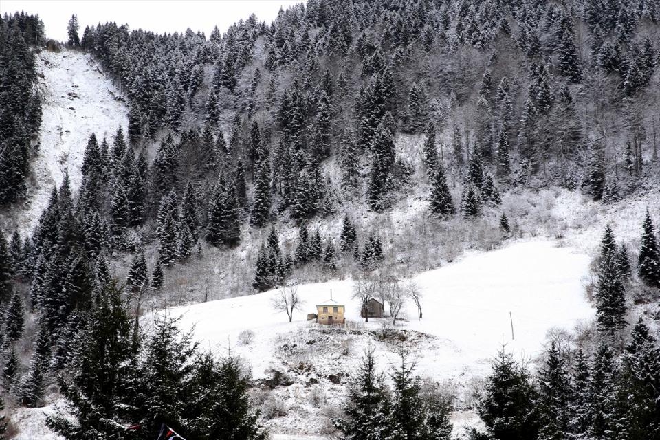 <p>Trabzon-Gümüşhane il sınırında bulunan 2 bin 100 rakımlı Zigana Dağı Geçidi'nde kar yağışı etkili oldu. Kar yağışının ardından çam ve ladin ağaçlarıyla kaplı ormanlarda güzel manzaralar oluştu.</p>

<p> </p>
