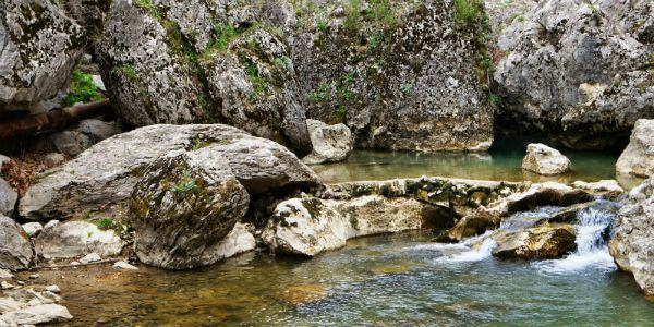 <p><strong>Kahramanmaraş Tekir Yaylası</strong></p>

<p><br />
Tekir Yaylası, Kahramanmaraş’ın Tekir ilçesinde bulunuyor. İçerisinde bir akarsu bulunan Tekir Yaylası’nda, akarsuyun üzerine kurulmuş çardaklar yer alıyor.<br />
Ormanla kaplanmış doğal bir güzelliğe sahip olan Tekir Yaylası’na hayran olmamak elde değil. Havası ve suyu bambaşka Tekir Yaylası’nın. Yaz aylarının serin olması ve kar sularının erimesi sonucunda doğal su kaynaklarının oluşması ise Tekir Yaylası’nı önemli ve özel kılan özelliklerden biri.<br />
Tekir Yaylası yolu boyunca karşılaşabileceğiniz dinlenme tesislerine de uğrayabilirsiniz. Unutmadan, Tekir Yaylası’nın meşhur balını, alabalığını, etini ve yoğurdunu mutlaka denemenizi tavsiye ediyoruz.<br />
Yolunuz Kahramanmaraş’a düşerse, Tekir Yaylası’nı gezi listenize eklemeyi sakın ihmal etmeyin.</p>
