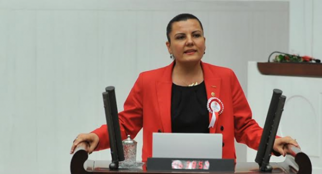 <p>Fatma Kaplan Hürriyet - CHP 26. Dönem Milletvekili</p>
