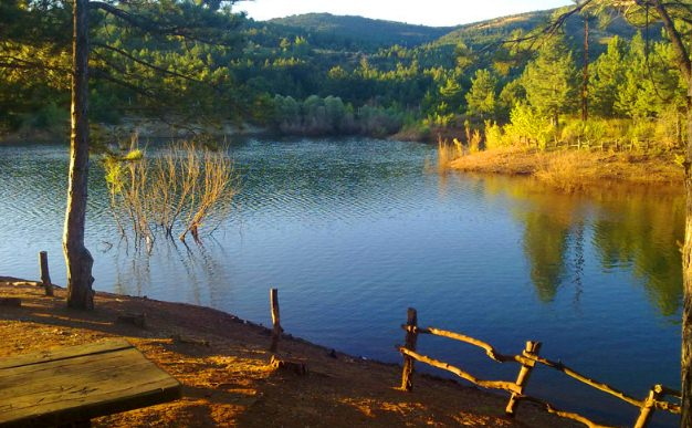 <p><strong>Yozgat Çamlığı Milli Parkı</strong></p>

<p>İl merkezinden 5 km uzaklıkta olan bu park ailenizle piknik yapmak eğlenmek için harika bir seçim olabilir. 1500 m yüksek dağların arasında ki güzelliğe sahip olan parkın yeşilliği suyu ormanı ayrı bir güzelliği vardır. Yozgata gelipte burayı görmeden gitmenizi tavsiye etmem.</p>
