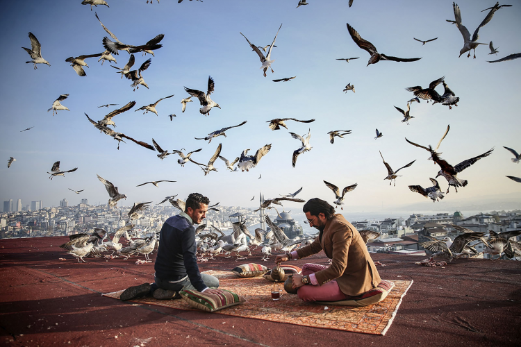 <p>Tarihin Seyrinde Kahvaltı<br />
<br />
Eminönü Sağır Han’da bulunan ‘Kubbe İstanbul’ isimli kültür ve sanat merkezinin sahipleri Harun Reşit Göktaş ve Fahri Akdağ (sağda), kahvaltılarını çalışanlarıyla iş yerlerinin terasından görünen İstanbul manzarası eşliğinde yapıyorlar. Zaman zaman merkezi ziyaret eden misafirleri ve turistleri de bu manzaradaki kahvaltıya davet eden mekan sahipleri, misafirlerine hem eşsiz bir İstanbul manzarası görmeleri imkanını veriyor hem de İstanbul’un simgesi haline gelen martılar eşliğinde tarihin seyrinde kahvaltı yapmalarını sağlıyor.   </p>
