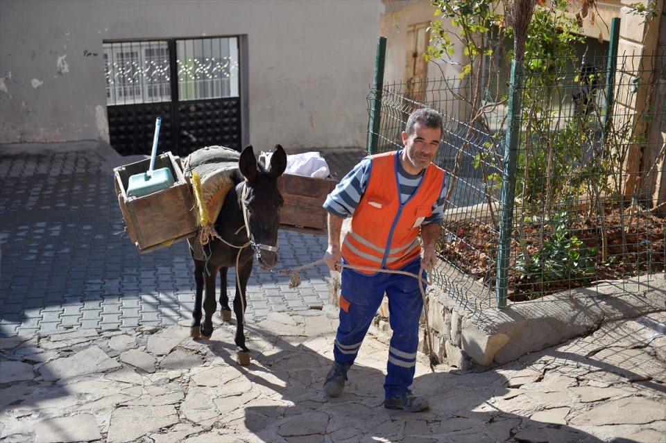 <p>Eşekler, yaşamlarına belediye bünyesindeki barınakta devam edecek.</p>

<p> </p>
