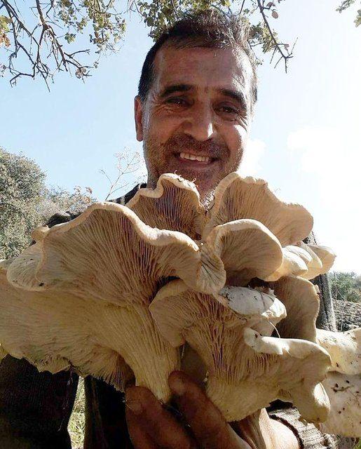 <p><strong>BODRUM'DAKİ DEV MANTAR!</strong></p>
