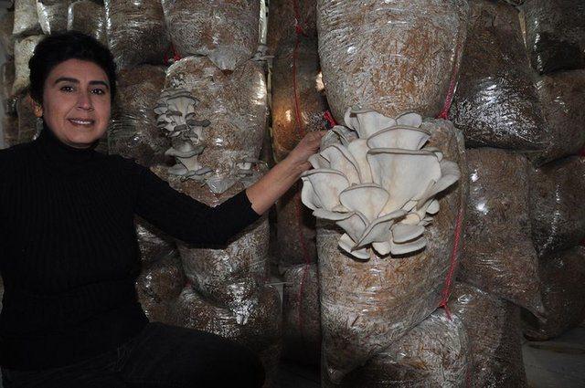 <p>Bir arkadaşının &ouml;nerisi ile yediği istiridye mantarını beğendiğini s&ouml;yleyen Nil&uuml;fer &Ouml;zbaş, ş&ouml;yle dedi:</p>

<p>&nbsp;</p>
