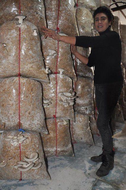 <p>S&uuml;rekli o arkadaştan mantar almaya başladık. Daha sonra eşimin g&ouml;revi Aydın'a &ccedil;ıkınca ben de kendi arazimizde &ccedil;ift&ccedil;iliğe başlamaya karar verdim. 'Ne yapabilirim, değişik bir şey yapmalıyım' diye d&uuml;ş&uuml;n&uuml;rken, mantarcılığa başladım.&nbsp;</p>

<p>&nbsp;</p>
