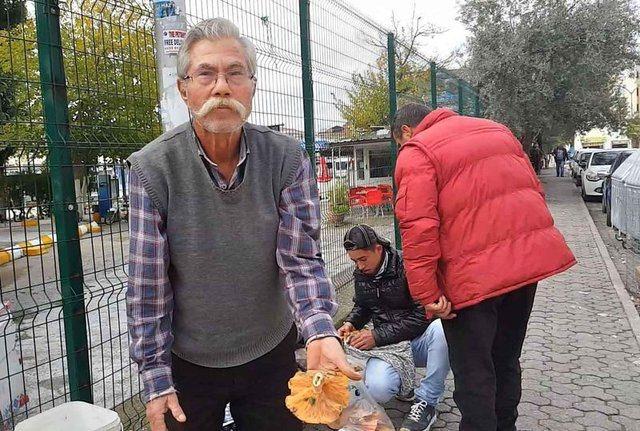 <p>Topladığı &ouml;zellikle &ccedil;ıntar mantarlarını kilosu 10-15 TL'den pazarda satıyor. G&uuml;nde 20-30 kilo mantar toplayabildiğini belirten &Ccedil;etin, şu a&ccedil;ıklamalarda bulundu:</p>

<p>&nbsp;</p>
