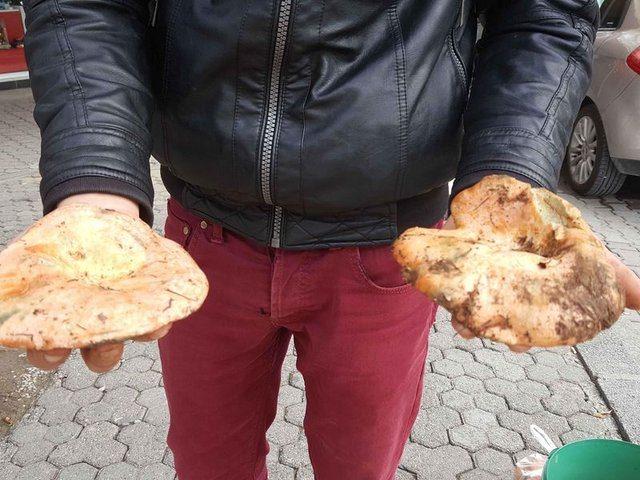 <p>Yaklaşık 5 yıldır doğadan topladığım mantarları pazarlarda satıyorum. Allah'a ş&uuml;k&uuml;r, bug&uuml;ne kadar sattığım mantarlardan zehirlenme gibi bir durum da olmadı; &ccedil;&uuml;nk&uuml; bu işe meraklı olduğumdan dolayı hangi mantar zehirli hangi mantar zehirsiz biliyorum.&nbsp;</p>

<p>&nbsp;</p>
