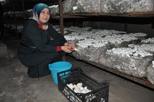 <p><strong>HOBİ OLARAK BAŞLADI 15 BİN LİRAYA TESİS KURDU</strong></p>

<p>Sorgun'da yaşayan ev hanımı Derya Doğan, &ccedil;ocuklarını b&uuml;y&uuml;t&uuml;p &uuml;niversiteye g&ouml;nderdikten sonra aile ekonomisine katkı sağlamak i&ccedil;in iş arayışlarına girdi.</p>
