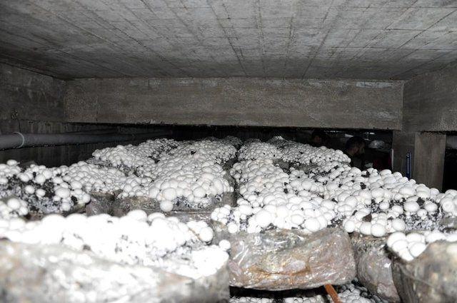 <div><strong>"İLK ETAPTA EŞİME KARŞI &Ccedil;IKTIM"</strong></div>

<div>&nbsp;</div>
