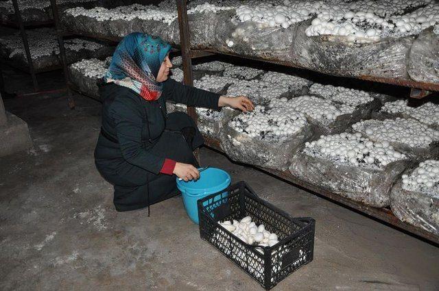 <div>Derya Doğan'ın eşi Murat Doğan ise eşinin b&ouml;yle iş yapmak istediğinde kendisinin gerek maddi gerekse manevi desteğini verdiğini belirterek, ş&ouml;yle konuştu:</div>

<div>&nbsp;</div>
