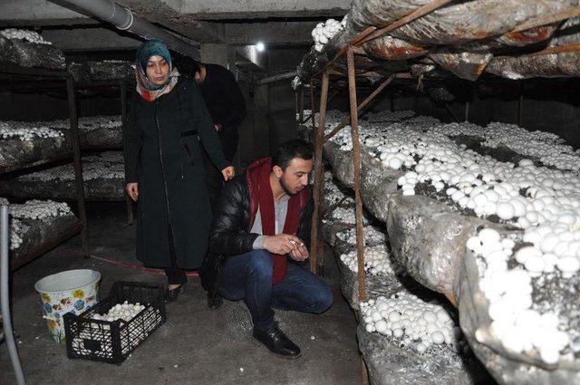 <div>İlk etapta kendisine karşı &ccedil;ıkıyordum. Daha sonra &uuml;retime ge&ccedil;ip, &uuml;r&uuml;nleri toplamaya başladığında bu işin &ccedil;ok kazan&ccedil;lı bir iş olduğunu g&ouml;rd&uuml;m. Ben de kendisine pazarlama konusunda yardımcı oluyorum.&nbsp;</div>

<div>&nbsp;</div>
