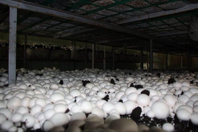 <div><strong>DİĞER İLLERDEN EĞİTİME GELİYORLAR</strong></div>

<div>&nbsp;</div>
