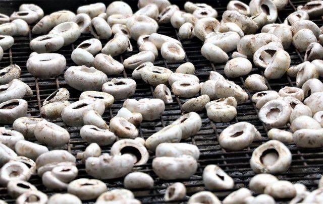 <p><strong>YILLIK 12 MİLYON GELİR</strong></p>

<p>&nbsp;</p>
