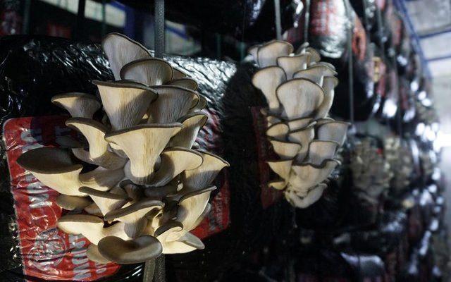 <div>Boran, şu a&ccedil;ıklamalarda bulundu:</div>

<div>&nbsp;</div>
