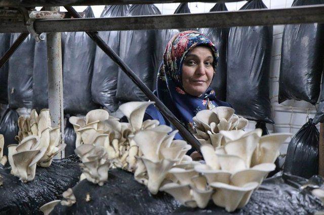 <div>İşini b&uuml;y&uuml;terek paketleme ve soğuk hava deposu kurmak i&ccedil;in &ccedil;alıştığını belirten Yılmaz, şu a&ccedil;ıklamalarda bulundu:</div>

<div>&nbsp;</div>
