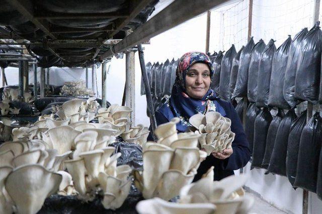 <div>Ev hanımlarına tavsiyelerde bulunan Yılmaz, "Bayanlar bu işi yapamam demesinler. Herkesin yapabileceği bir iş. Herkese tavsiye ediyorum. Ev ekonomilerine katkıda bulunmak isteyen ama ne iş yapacağını bilemeyen bayan arkadaşlarımızın hepsine tavsiye ediyorum" dedi.</div>

<div>&nbsp;</div>
