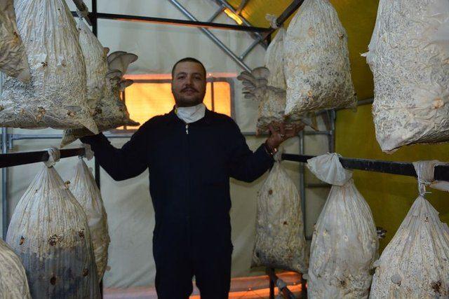 <div><strong>BU MANTAR TOPRAKTA &Uuml;RETİLMİYOR</strong></div>

<div>&nbsp;</div>

<div>Makine Teknikeri Harun &Ccedil;iğdem yurtdışında g&ouml;rd&uuml;ğ&uuml; mantar yetiştirme sistemini Balıkesir'in Bigadi&ccedil; il&ccedil;esinde ger&ccedil;ekleştirmeye başladı.&nbsp;</div>
