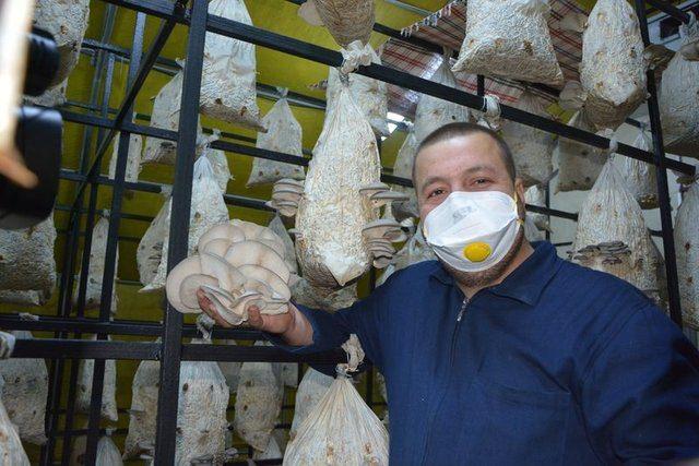 <div>1 yıllık araştırmalar sonucunda b&ouml;yle bir işe girmeye karar verdim. Tarım il&ccedil;eden Gen&ccedil; &Ccedil;ift&ccedil;i projesinden aldığım hibe desteği ile bu işe başladım. Almanya'da staj yaparken bulunduğum vilayette b&ouml;yle bir mantar tesisi vardı. Gidip orayı gezdim ve burada oluyorsa T&uuml;rkiye'de de olur diyerek bu k&uuml;lt&uuml;r mantarını yapmaya karar verdim.</div>

<div>&nbsp;</div>
