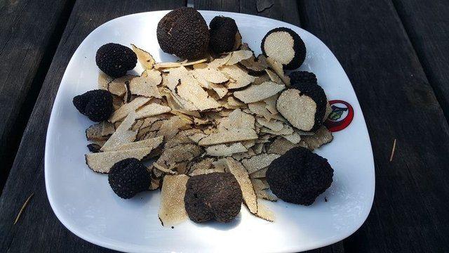 <div><strong>İHTİYA&Ccedil; İ&Ccedil; KAYNAKLARDAN KARŞILANACAK</strong></div>

<div>&nbsp;</div>

<div>Eroğlu, "Bu mantar &ouml;zellikle l&uuml;ks otellerde kullanılıyor. Yabancı turistler, tr&uuml;f mantarı damak zevkini &uuml;lkemizin turistik tesislerinde de arıyor. Bu sebeple bu mantarı yurtdışından almak yerine b&uuml;y&uuml;k bir turizm potansiyeline sahip olan &uuml;lkemizin tr&uuml;f mantarı ihtiyacını yaptığımız &ccedil;alışmalarla i&ccedil; kaynaklardan sağlamayı hedefliyoruz" a&ccedil;ıklamasını yaptı.</div>
