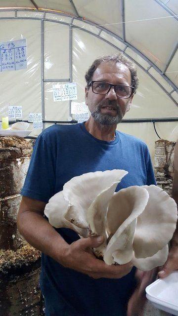 <div>Bilgisayar programcısı olduğunu ve aynı zamanda otel y&ouml;neticiliği yaptığını dile getiren Sabar, bu yıl turizmdeki d&uuml;ş&uuml;ş nedeniyle otelin a&ccedil;ılmadığını ve yeni bir iş arayışına girdiğini anlattı. Naylon torba i&ccedil;inde talaşla yapılan kompost mantar &uuml;retimi konusunda araştırma yaptığını ifade eden Yakup Sabar, ş&ouml;yle konuştu:</div>

<div>&nbsp;</div>
