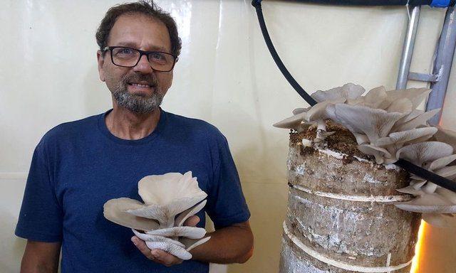 <div>"Ortağımla birlikte doğal ortamında &uuml;r&uuml;n yetiştirerek aynı ticari kapasiteye ulaşabileceğimizi d&uuml;ş&uuml;nd&uuml;m. Deneme yanılma ve takip sistemiyle &uuml;r&uuml;n kalitesini ve rekoltesini artırdık. Kompost sisteminde 3 ay, ama k&uuml;t&uuml;kten 3 yıl &uuml;r&uuml;n alabiliyorsunuz. K&uuml;t&uuml;k mantarının raf &ouml;mr&uuml; daha uzun, besin değeri daha fazla. Bug&uuml;n aldığımız sonu&ccedil;tan &ccedil;ok memnunuz."</div>

<div>&nbsp;</div>
