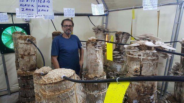 <div><strong>VERİLER BİLGİSAYARA AKTARILIYOR</strong></div>

<div>&nbsp;</div>

<div>İsrail'de modern tarım y&ouml;ntemleriyle yakından ilgilendiğini anlatan Sabar, kompostta mantar &uuml;retimi yapanların 'K&uuml;t&uuml;kte ticaret olmaz' eleştirileriyle karşı karşıya kaldığını hatırlattı 120 metrekarelik bir &ccedil;adırda 450 k&uuml;t&uuml;kle işe başladığını belirten Sabar, ş&ouml;yle konuştu:&nbsp;</div>
