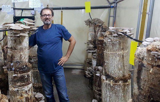 <div>Dijital &ouml;l&ccedil;&uuml;m aletleriyle 15 dakikada bir bilgisayara aktarılan veriler ile hava, nem koşullarıyla ilgili bilgi sahibi oluyorum. Ne zaman havayı temizleyeceğim, ne zaman klimayı a&ccedil;acağım konusunda sistem beni y&ouml;nlendiriyor. Kaliteli plastikten elde edilen damlama borularıyla her k&uuml;t&uuml;ğe dakikada 2 litre su veriyorum.&nbsp;</div>

<div>&nbsp;</div>
