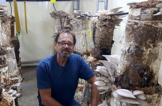 <div><strong>12 &Ccedil;EŞİT YEMEĞİ YAPILIYOR</strong></div>

<div>&nbsp;</div>

<div>Sabar, amacının sadece para kazanmak olmadığını, &ccedil;evredeki insanları da bu konuda eğitip yeni iş imkanları sağlamak istediğini, pazarda istiridye mantarının kilosunu 15-20 lira arasında toptan ise, 12-15 TL'den satışa sunduğunu s&ouml;yledi. Yakup Sabar, ş&ouml;yle dedi:</div>
