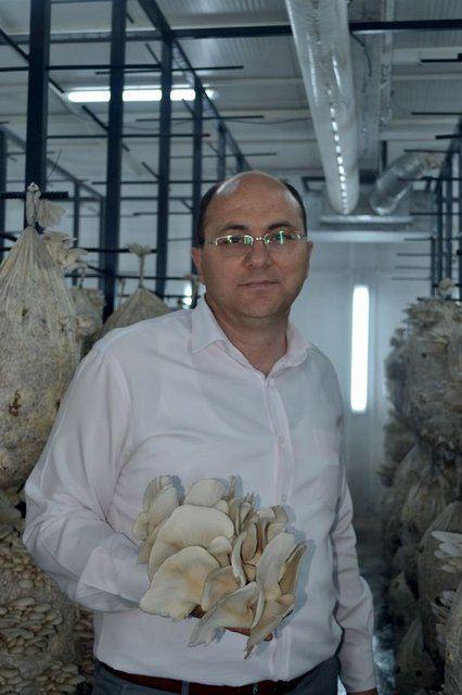 <div>Salihli T Tipi Kapalı ve A&ccedil;ık Ceza İnfaz Kurumu M&uuml;d&uuml;rl&uuml;ğ&uuml;nde g&ouml;revli Ziraat M&uuml;hendisi Ali &Ouml;m&uuml;r Bereketli ise kurumda daha &ouml;nce &ouml;rt&uuml; altı ve &uuml;st&uuml; tarımsal bir&ccedil;ok &uuml;retim ger&ccedil;ekleştirildiğini aktardı. Y&uuml;ksek verimi ve sağlıklı olması nedeniyle istiridye mantarı &uuml;retme kararı aldıklarına işaret eden Bereketli, şunları kaydetti:</div>

<div>&nbsp;</div>
