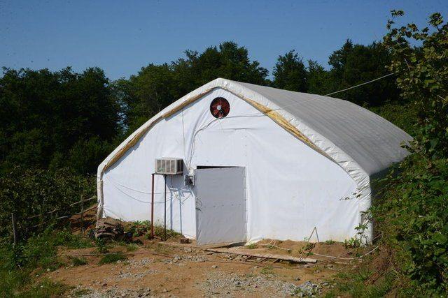 <div><strong>ANNE KIZ HAYALLERİNİ GER&Ccedil;EKLEŞTİRDİ</strong></div>

<div>&nbsp;</div>

<div>Ordulu 28 yaşındaki El&ccedil;in &Ouml;zge C&ouml;r&uuml;t, yaklaşık iki ay &ouml;nce kurduğu serada annesiyle istiridye mantarı &uuml;reterek ge&ccedil;imini sağlıyor.</div>
