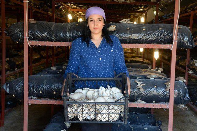 <div>Anadolu &Uuml;niversitesi A&ccedil;ık&ouml;ğretim Fak&uuml;ltesi Uluslararası İlişkiler B&ouml;l&uuml;m&uuml; &ouml;ğrencisi C&ouml;r&uuml;t, bir s&uuml;re İstanbul'daki ablasının yanında farklı sekt&ouml;rlerde &ccedil;alıştıktan sonra memleketine d&ouml;nd&uuml;.</div>

<div>&nbsp;</div>
