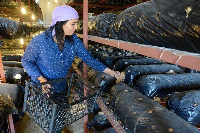 <div>El&ccedil;in &Ouml;zge C&ouml;r&uuml;t yaptığı a&ccedil;ıklamada, &ccedil;ocuk yaşlarında kurduğu &ccedil;ift&ccedil;ilik hayalini ger&ccedil;ekleştirebildiği i&ccedil;in mutlu olduğunu s&ouml;yledi.</div>

<div>&nbsp;</div>
