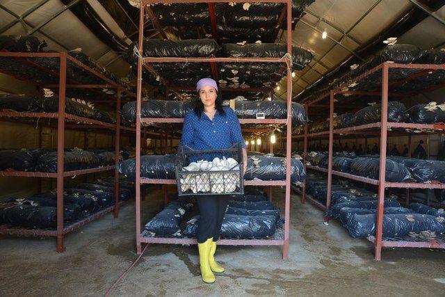 <div>İkinci serayı kurmak amacıyla Gıda Tarım ve Hayvancılık Bakanlığı Gen&ccedil; &Ccedil;ift&ccedil;i Projesi'ne yaptığı başvurunun kabul edildiğini bildiren C&ouml;r&uuml;t, bu kapsamda 30 bin lira hibe alacağını kaydetti.</div>

<div>&nbsp;</div>
