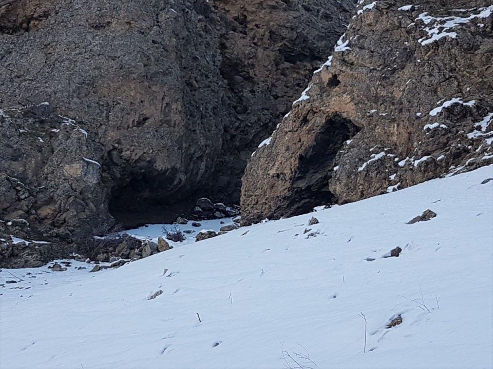 <p>Güvenlik kaynaklarından alınan bilgiye göre, İlçe Jandarma Komutanlığı ekiplerince, Bilgi ve Üçüzler mahallelerinin kırsal alanında terör örgütü PKK/KCK'nın kış üslenmesine yönelik "Şehit Jandarma Er İbrahim Dönmez" operasyonu düzenlendi. </p>
<p> </p>