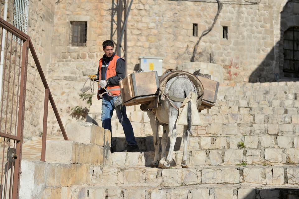 <p>İlçedeki çoğu sokağın merdivenli olduğuna işaret eden Toparlı, çöplerin toplanması için bu nedenle eşeklerin görev yaptığını belirtti.</p>

<p> </p>
