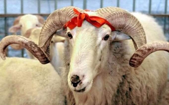 <p><strong>KURBAN BAYRAMI</strong></p>
<p>1/2 GÜN 20 AĞUSTOS 2018 PAZARTESİ<br />
1. GÜN 21 AĞUSTOS 2018 SALI<br />
2. GÜN 22 AĞUSTOS 2018 ÇARŞAMBA<br />
3. GÜN 23 AĞUSTOS 2018 PERŞEMBE<br />
4. GÜN 24 AĞUSTOS 2018 CUMA<br />
<br />
Bayram öncesi ve sonrası hafta sonuna denk gelen Kurban Bayramı tatili 9 gün olarak yapılacak.</p>