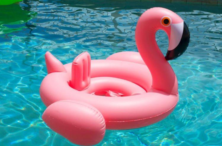 <p><strong>Flamingo</strong></p>

<p>Bu yaz pembe flamingosu olmayanları havuza almıyorlar, bizden söylemesi.</p>
